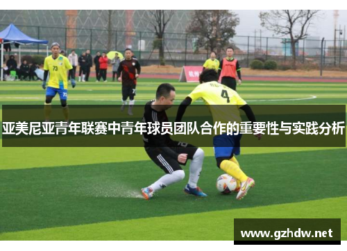 亚美尼亚青年联赛中青年球员团队合作的重要性与实践分析