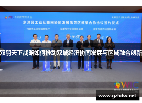 双羽天下战略如何推动双城经济协同发展与区域融合创新