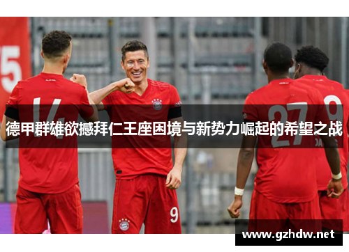 德甲群雄欲撼拜仁王座困境与新势力崛起的希望之战