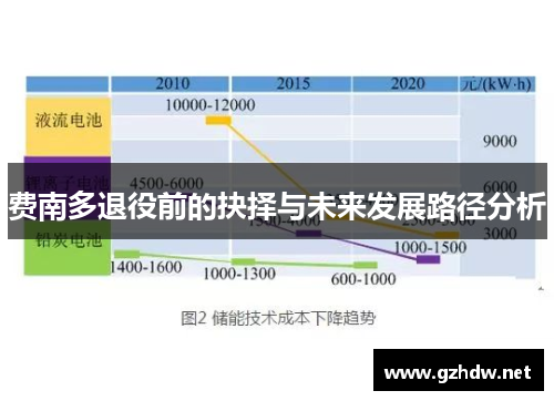 费南多退役前的抉择与未来发展路径分析